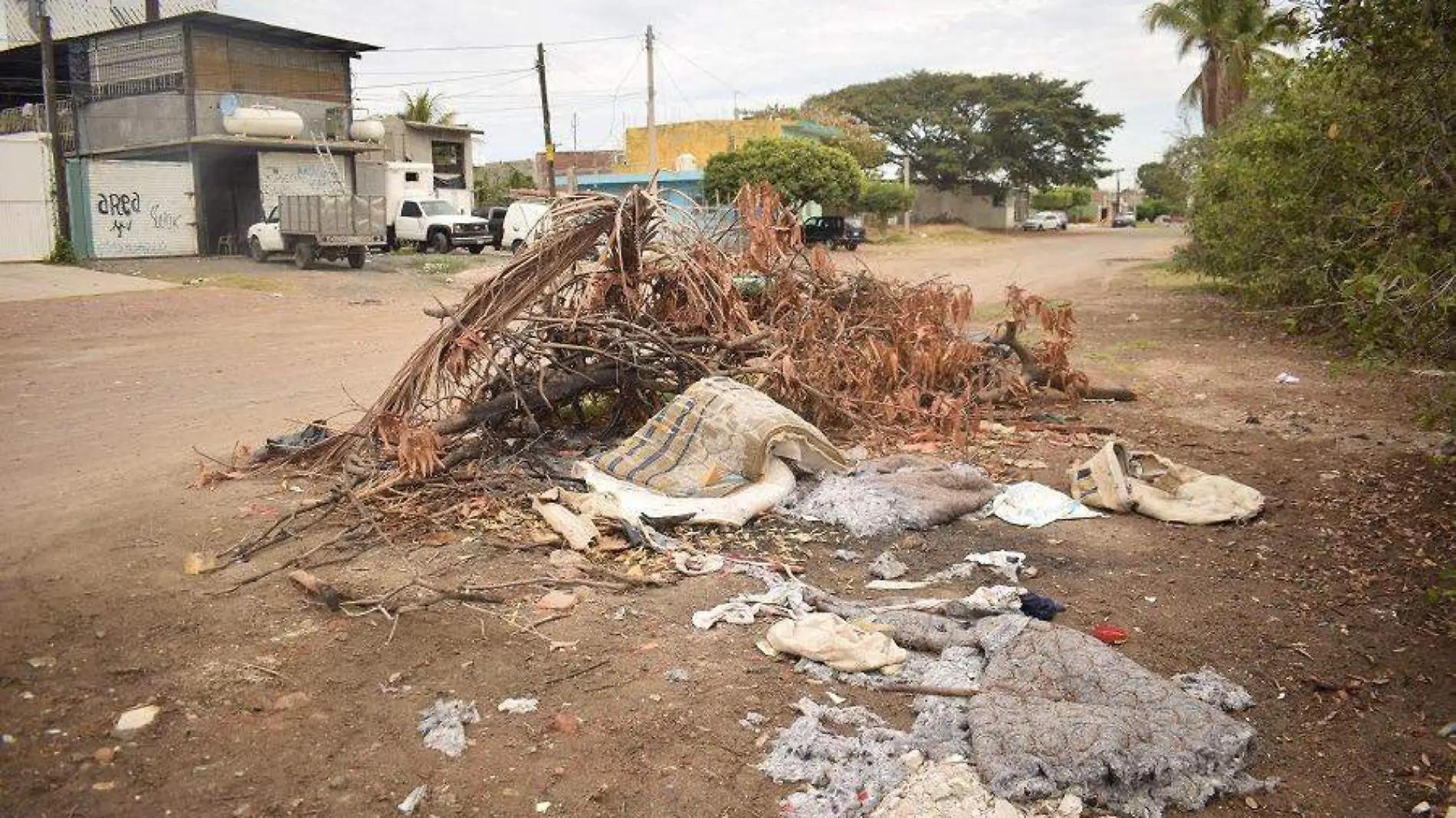 malecon basura 